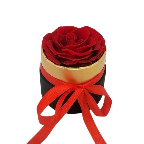 PRESERVED ROSES ROUND BOX